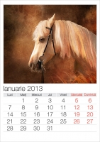 Calendar-Picturi