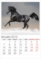 Calendare-cai